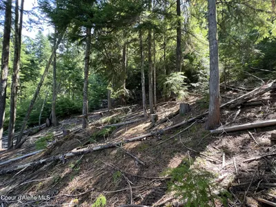 Property 26-4197 - Photo 3