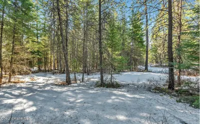 Property 26-6942 - Photo 4