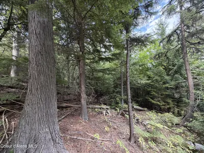 Property 26-8802 - Photo 26