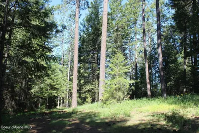 Property 26-9113 - Photo 14