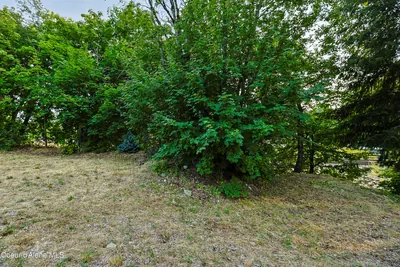 Property 26-7655 - Photo 46