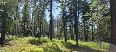 Property 25-5982 - Photo 9