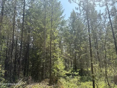 Property 26-8234 - Photo 11