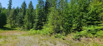 Property 26-4583 - Photo 4