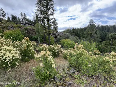 Property 26-6620 - Photo 21
