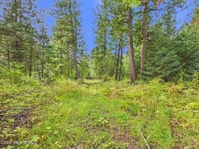 Property 26-10056 - Photo 12