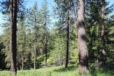 Property 26-9115 - Photo 21