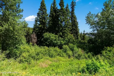 Property 26-7710 - Photo 5