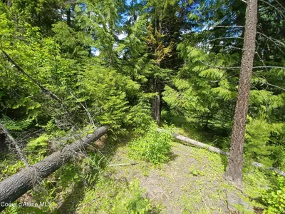 Property 26-466 - Photo 12
