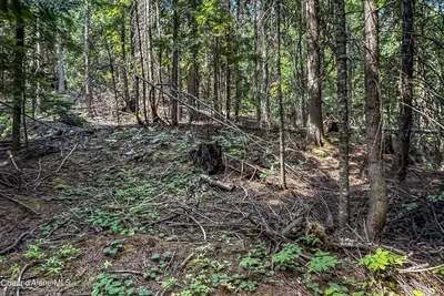 Property 26-8774 - Photo 6