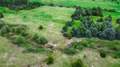 Property 26-3494 - Photo 7