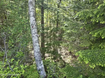 Property 26-5444 - Photo 25