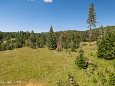 Property 26-7375 - Photo 52