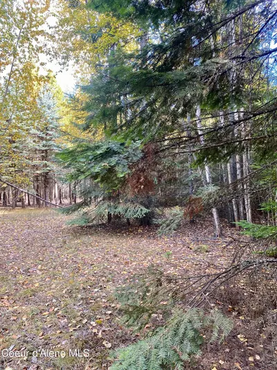 Property 26-2687 - Photo 11