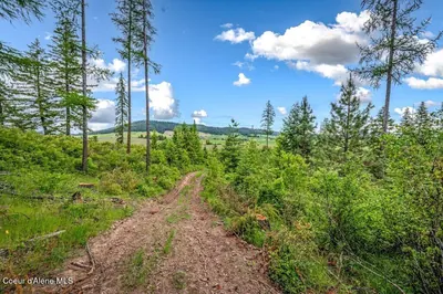 Property 26-6991 - Photo 5