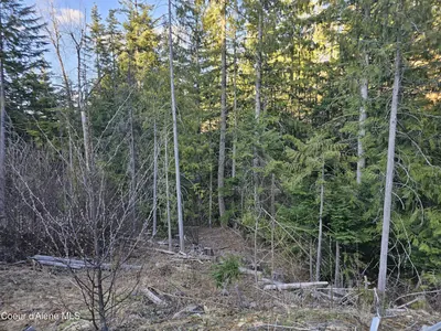 Property 26-6349 - Photo 4