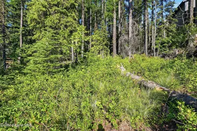 Property 26-7240 - Photo 6