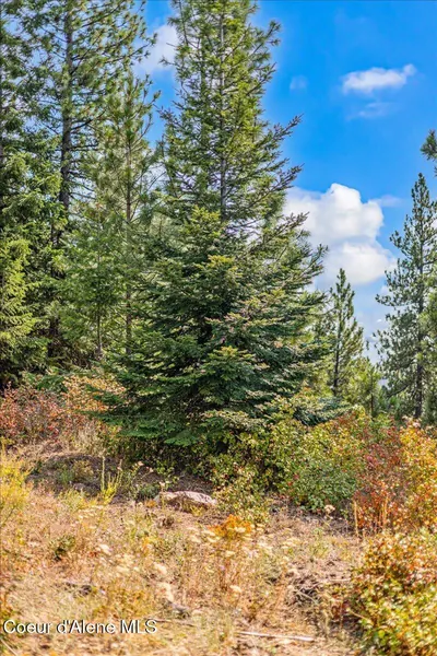 Property 26-8568 - Photo 35