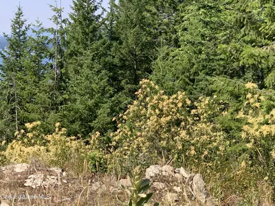 Property 26-5056 - Photo 27