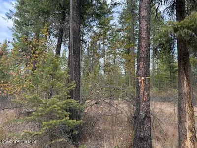 Property 26-10384 - Photo 15