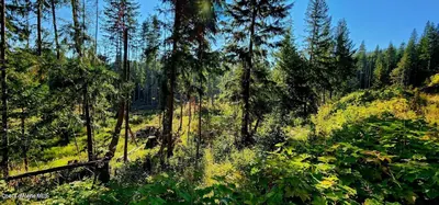 Property 26-987 - Photo 5