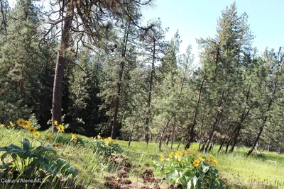 Property 26-9115 - Photo 22