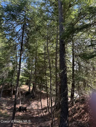 Property 26-5162 - Photo 17