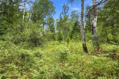 Property 26-8474 - Photo 19