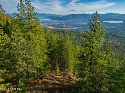 Property 25-11563 - Photo 16
