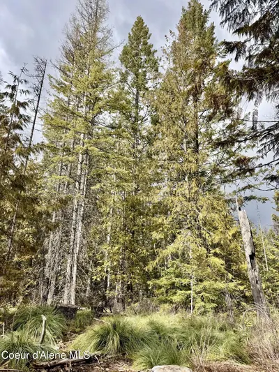 Property 26-2440 - Photo 11