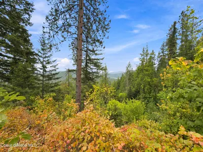 Property 26-8724 - Photo 29