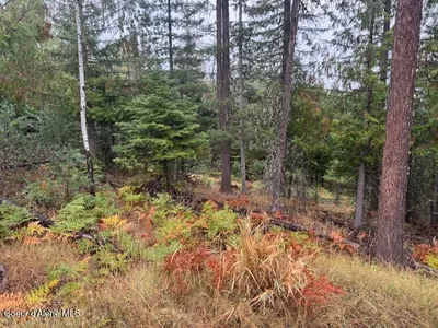 Property 26-9885 - Photo 6