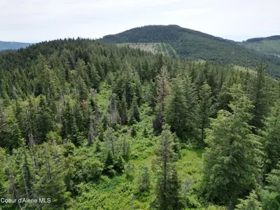 Property 26-3356 - Photo 5