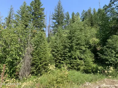 Property 26-5056 - Photo 23