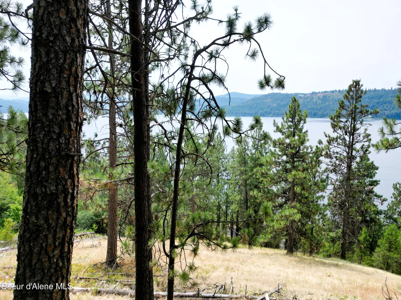 Property 26-7680 - Photo 1