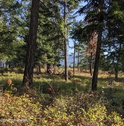 Property 26-2586 - Photo 6