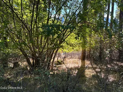 Property 26-4541 - Photo 9