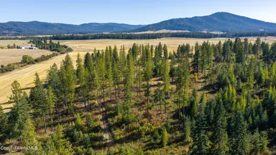 Property 26-9037 - Photo 10