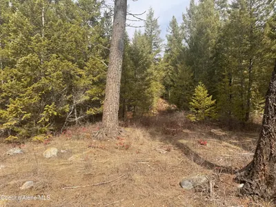 Property 26-663 - Photo 5