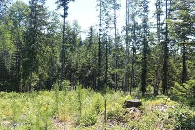 Property 26-8392 - Photo 6