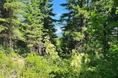 Property 26-6973 - Photo 5