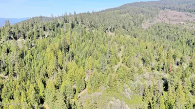 Property 26-2952 - Photo 29