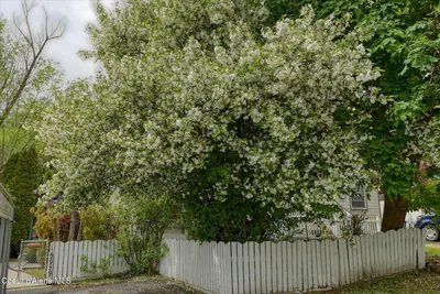 Property 26-2132 - Photo 35