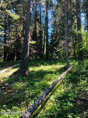 Property 26-6208 - Photo 5