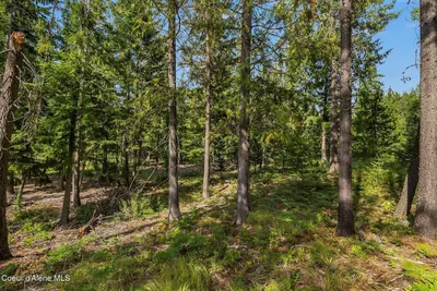 Property 25-8553 - Photo 15