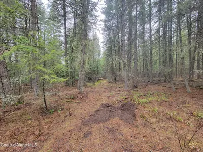 Property 26-2474 - Photo 10