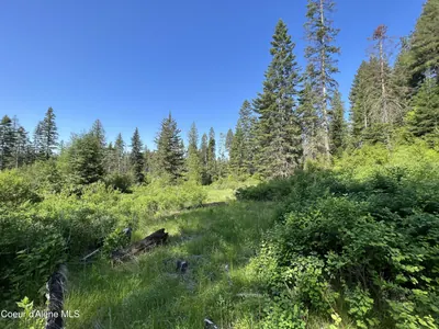 Property 26-2498 - Photo 29