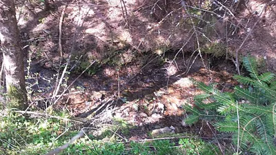 Property 26-6356 - Photo 10
