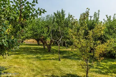 Property 26-7853 - Photo 4