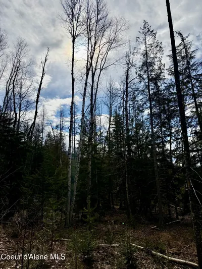 Property 26-2440 - Photo 22